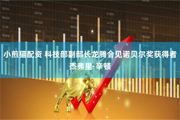 小煎猫配资 科技部副部长龙腾会见诺贝尔奖获得者杰弗里·辛顿